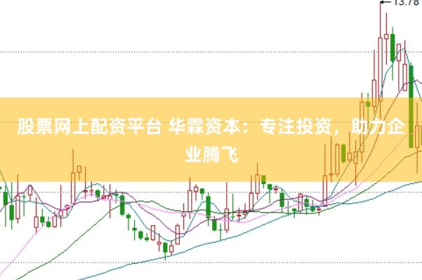 股票网上配资平台 华霖资本：专注投资，助力企业腾飞