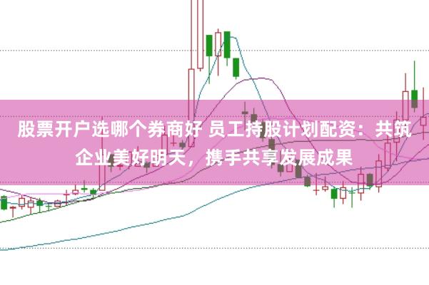 股票开户选哪个券商好 员工持股计划配资：共筑企业美好明天，携手共享发展成果