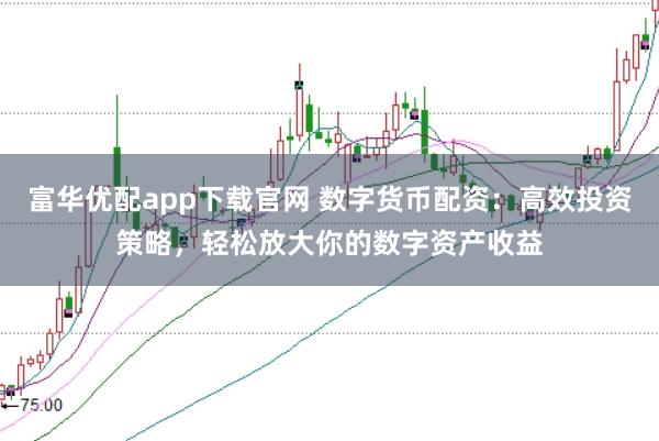 富华优配app下载官网 数字货币配资：高效投资策略，轻松放大你的数字资产收益