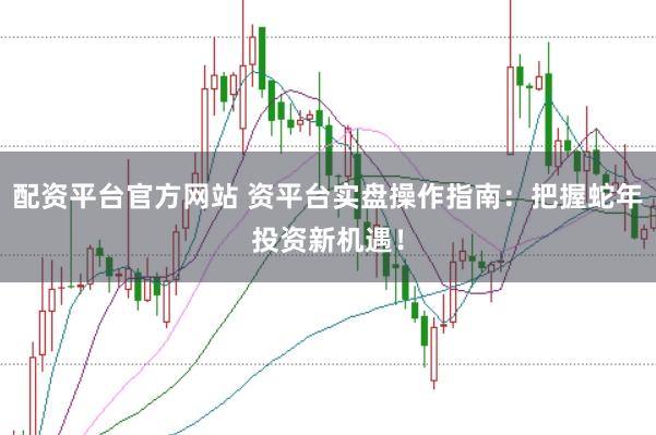 配资平台官方网站 资平台实盘操作指南：把握蛇年投资新机遇！