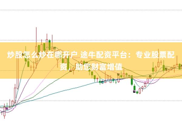 炒股怎么炒在哪开户 途牛配资平台：专业股票配资，助您财富增值