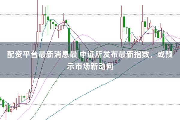 配资平台最新消息最 中证所发布最新指数，或预示市场新动向