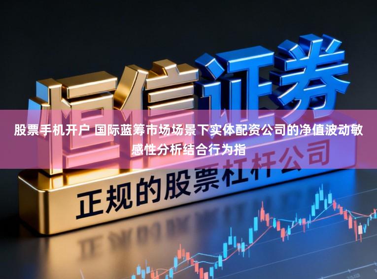 股票手机开户 国际蓝筹市场场景下实体配资公司的净值波动敏感性分析结合行为指