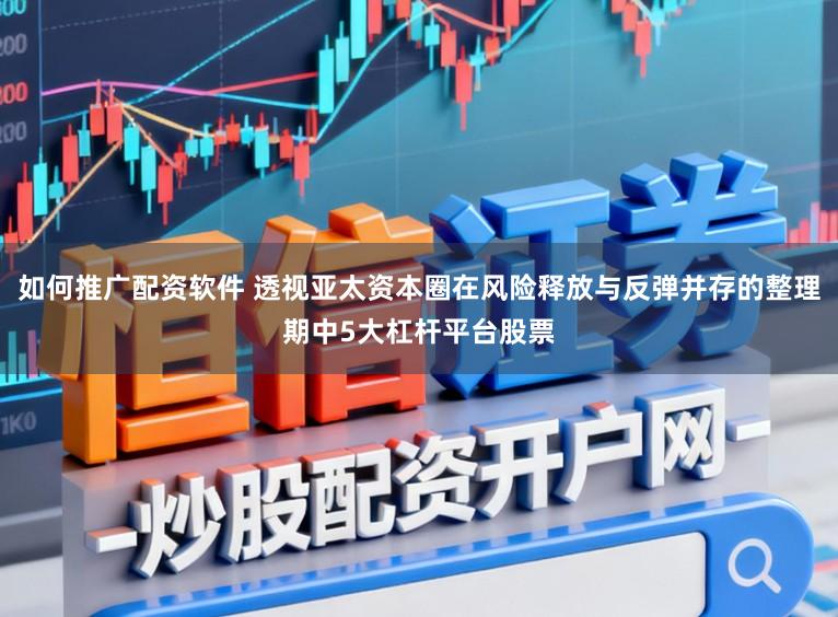 如何推广配资软件 透视亚太资本圈在风险释放与反弹并存的整理期中5大杠杆平台股票