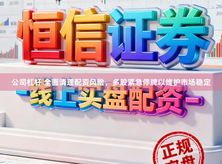 公司杠杆 全面清理配资风险，多股紧急停牌以维护市场稳定