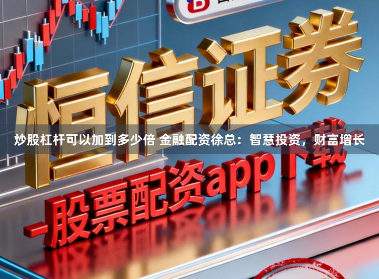 炒股杠杆可以加到多少倍 金融配资徐总：智慧投资，财富增长